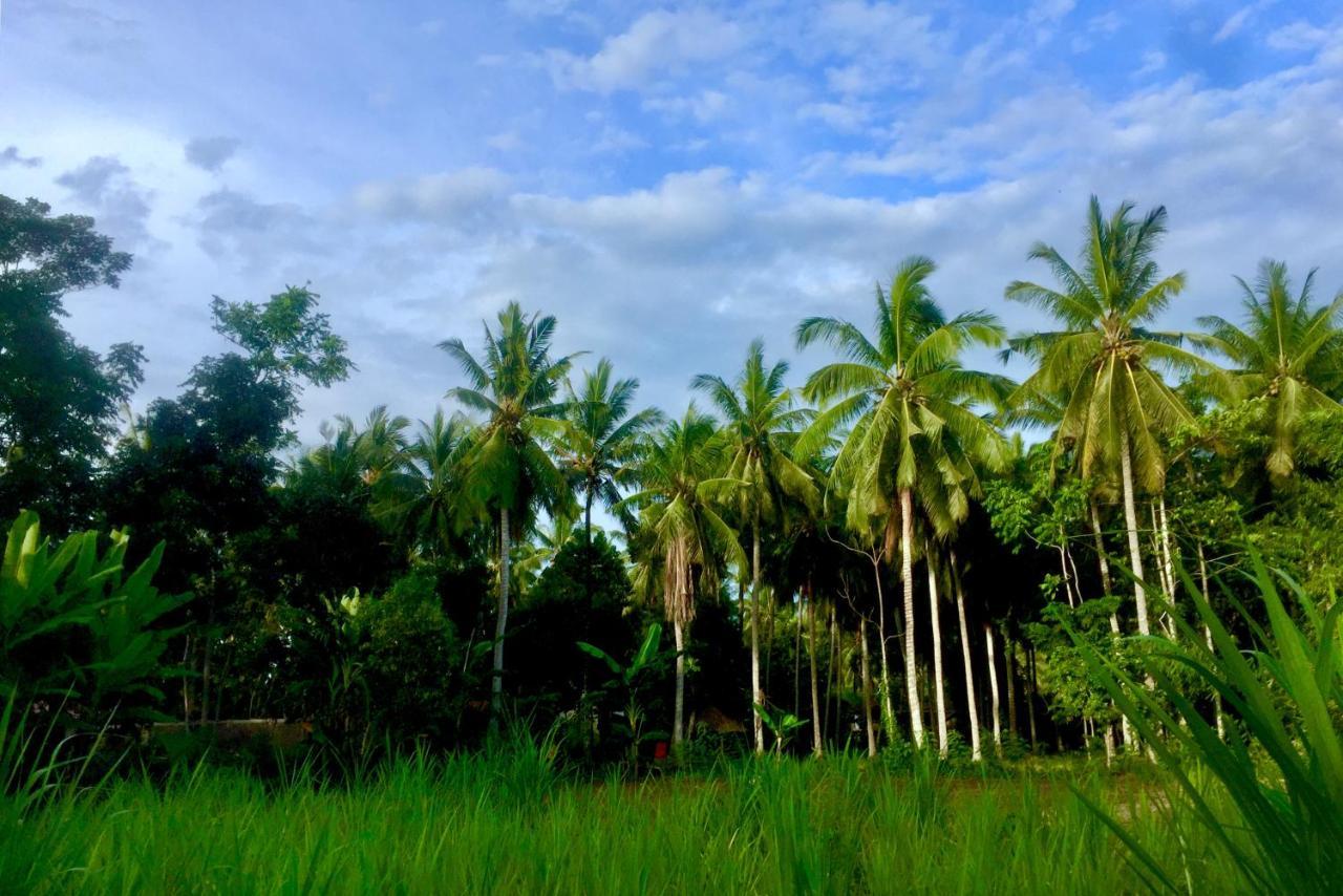 Chemel Homestay Kuta  외부 사진
